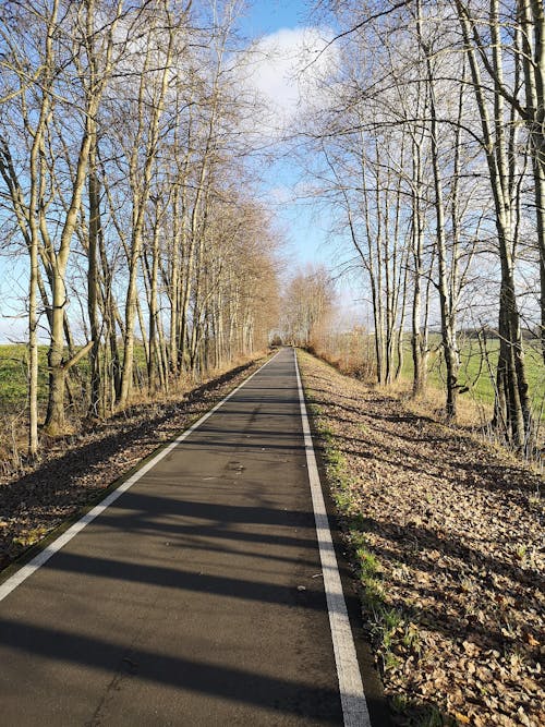 Photos gratuites de piste cyclable