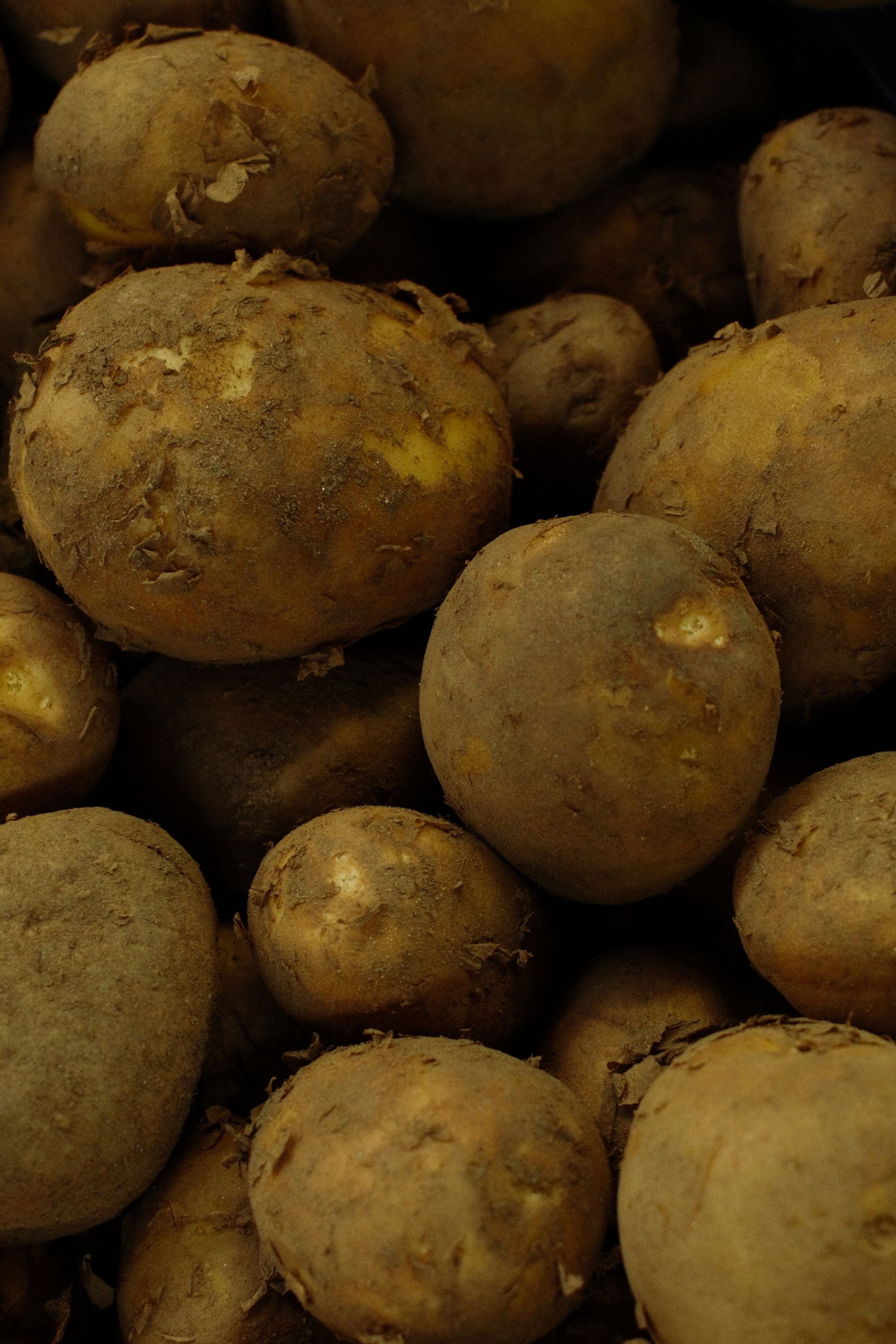 Snack Natural de Batata-Doce