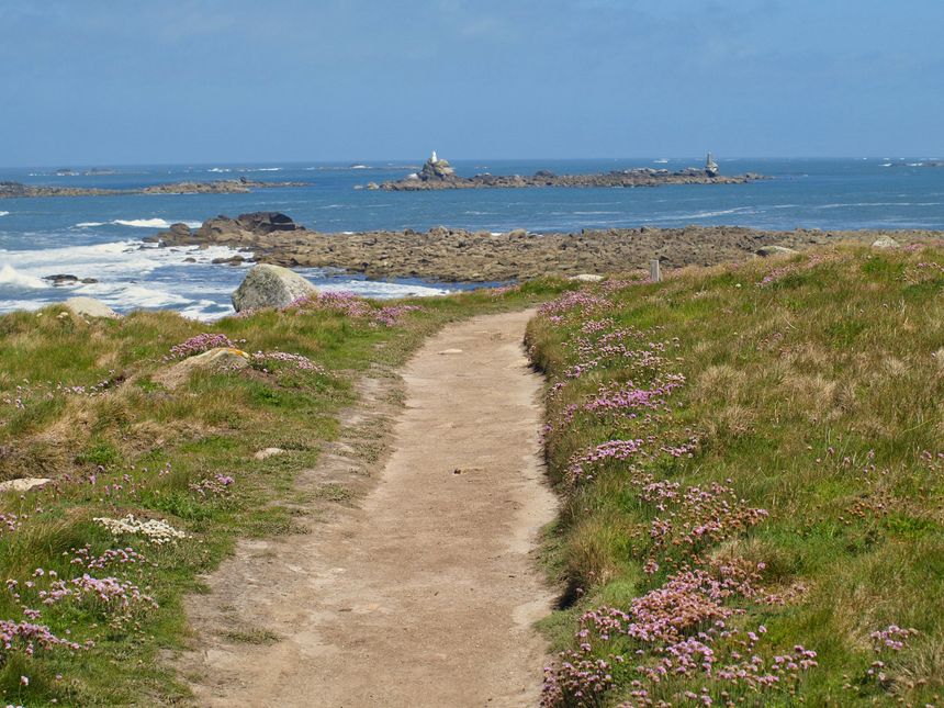 Coastal path lined with wildflowers overlooking the ocean — Christophe Richomme on Pexels