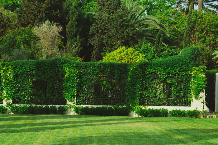 Lush garden beds beside a manicured lawn