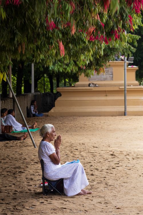 Free An elderly woman in white prays at a serene Buddhist temple in Peliyagoda, Sri Lanka. Stock Photo
