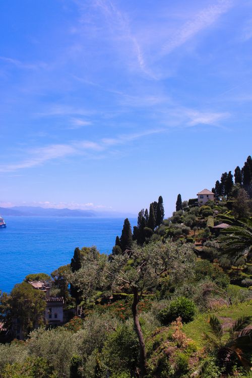 Free Breathtaking view of Portofino's coastline with lush greenery and blue sea under a bright sky. Stock Photo