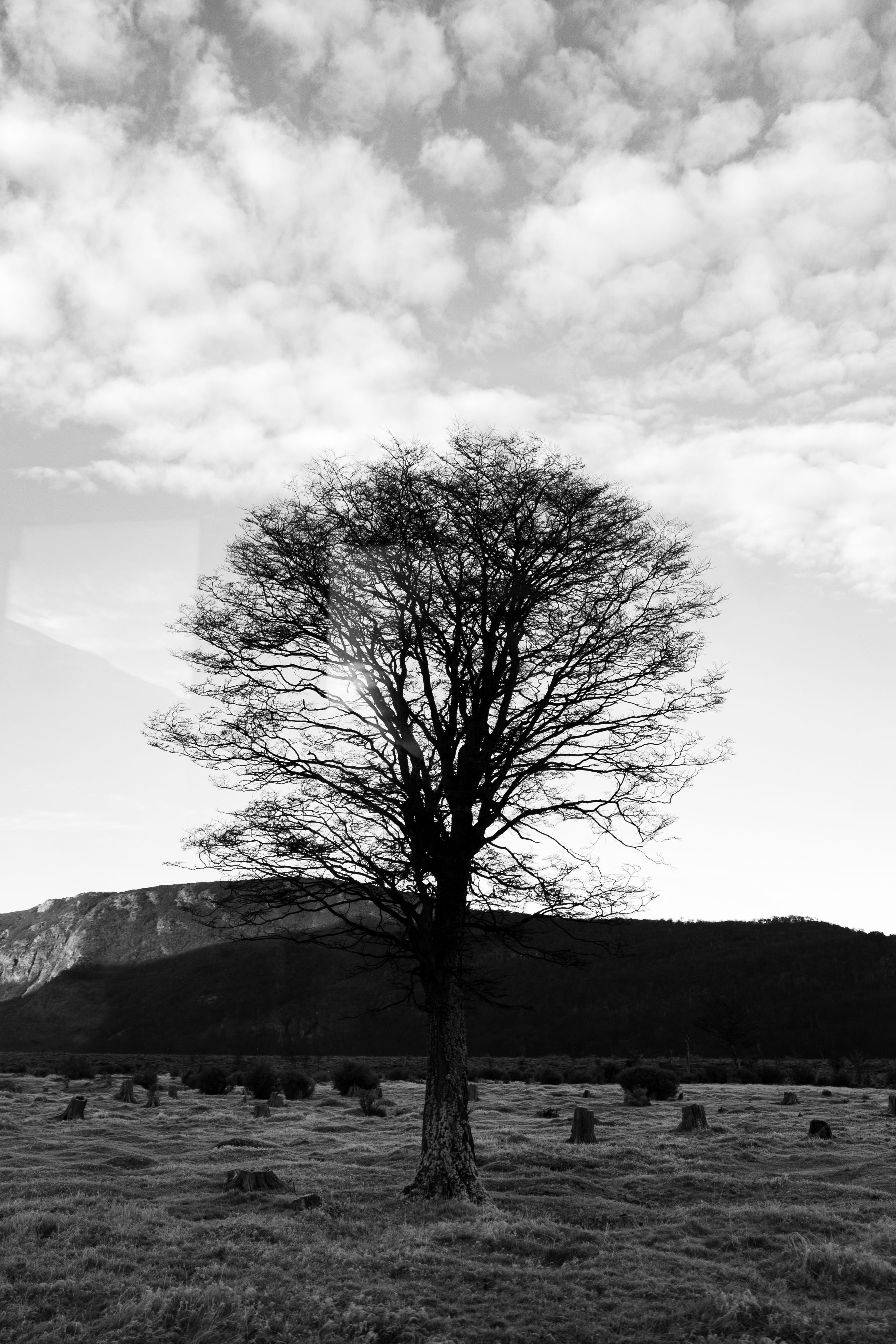 Fotomural Fotolia