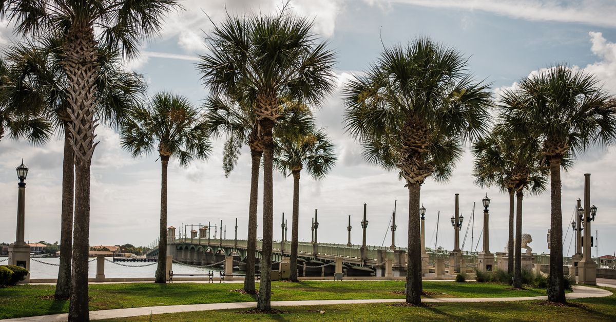 Scenic view of palm trees with a bridge backdrop in St. Augustine, Florida.