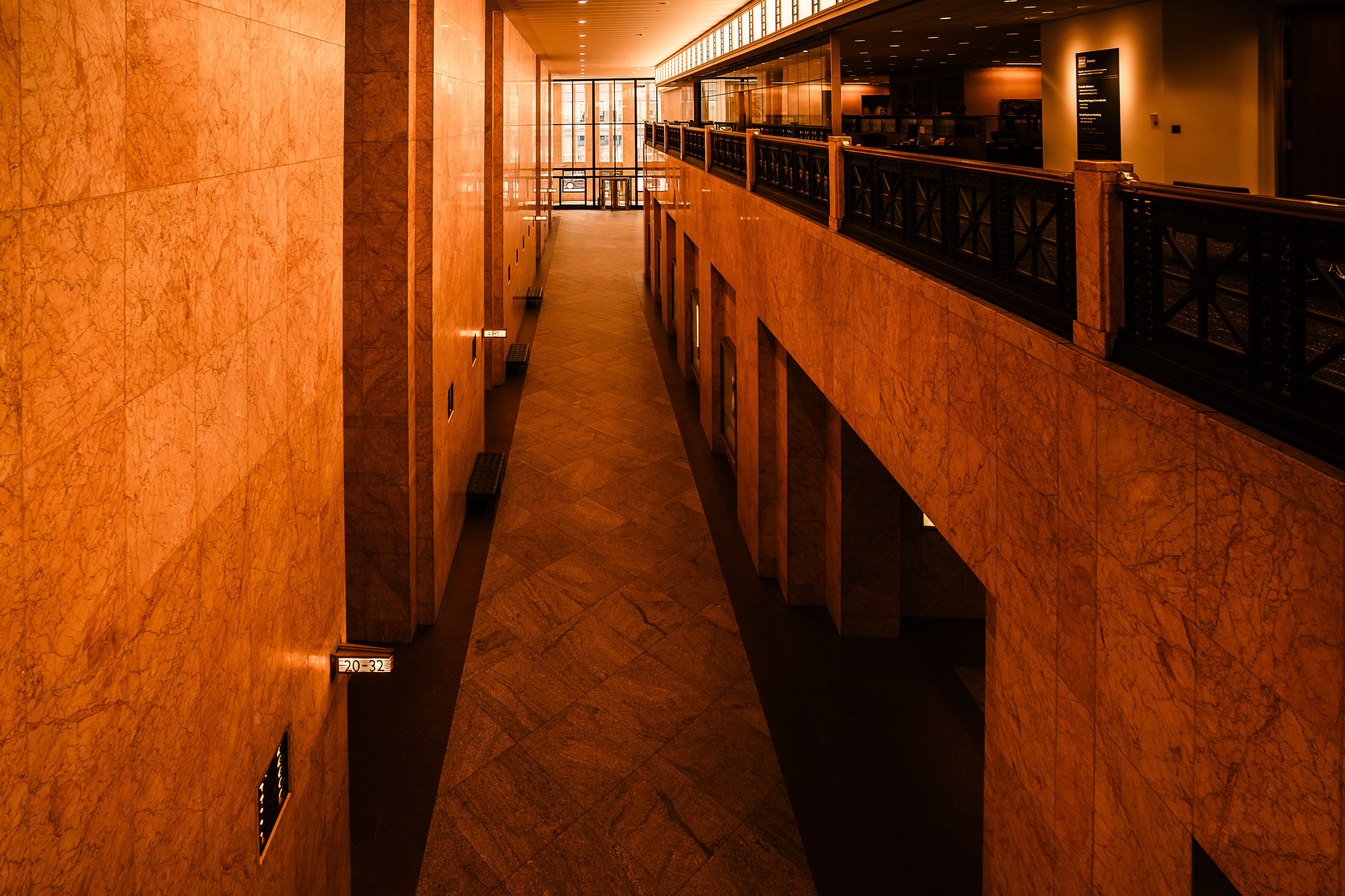 Federal courthouse hallway with an animal welfare statute, evidence folders, and investigator notes