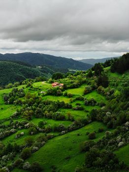 Friedliches Grün & Luftaufnahme – Anime-Stil Hintergrundbild