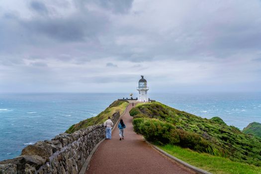 Stunning coastal view at Cape Reinga Lighthouse, Northland, New Zealand, with lush greenery and vast ocean.