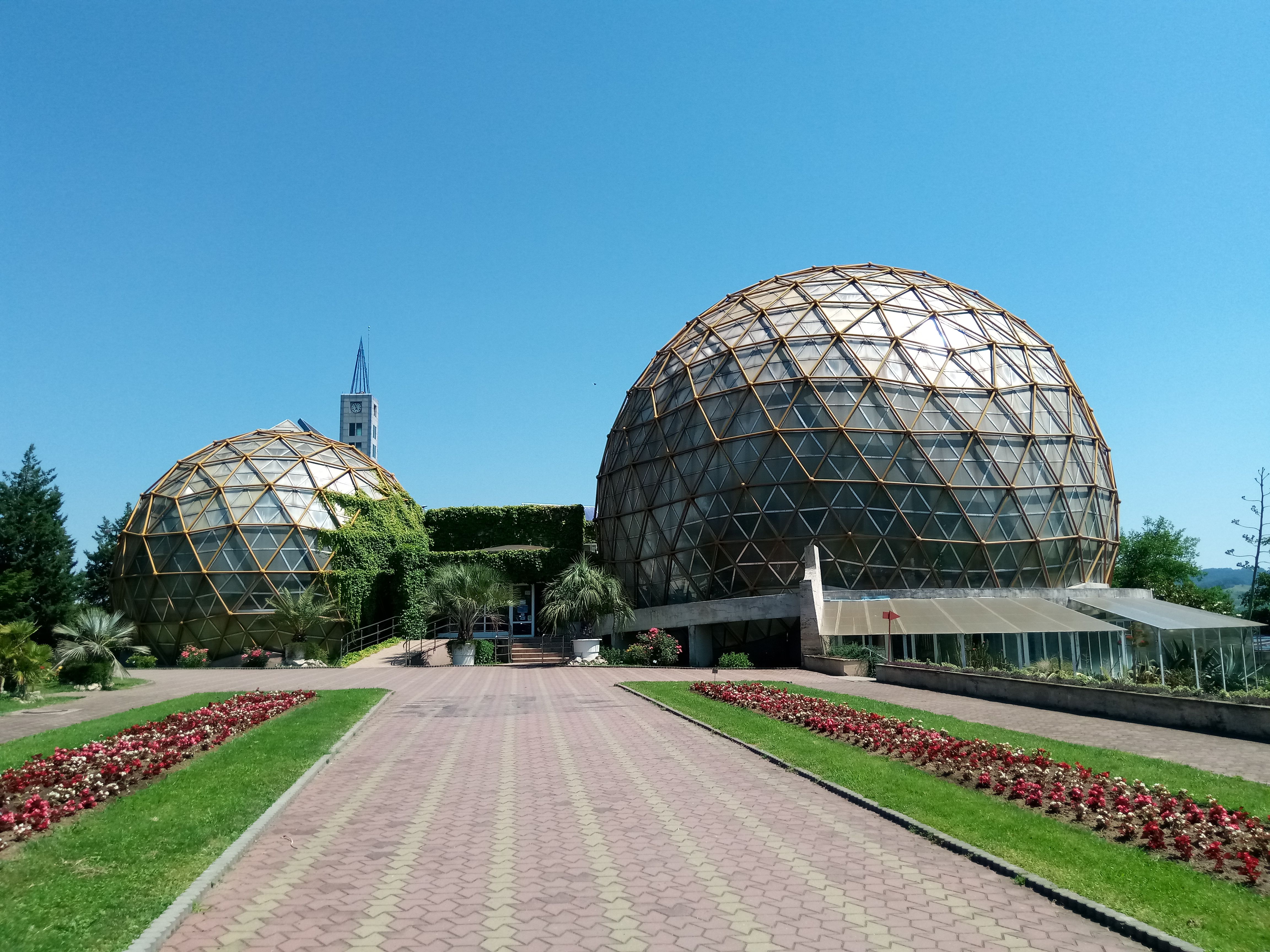 Grădină frumos amenajată în Constanța