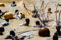 Vibrant scene of fishermen at the Argungu Fishing Festival in Nigeria, showcasing traditional methods.