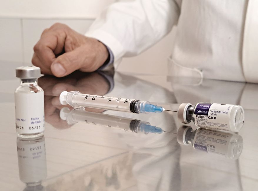 A veterinarian in a clinic setting preparing syringes and vaccine vials on a reflective surface.