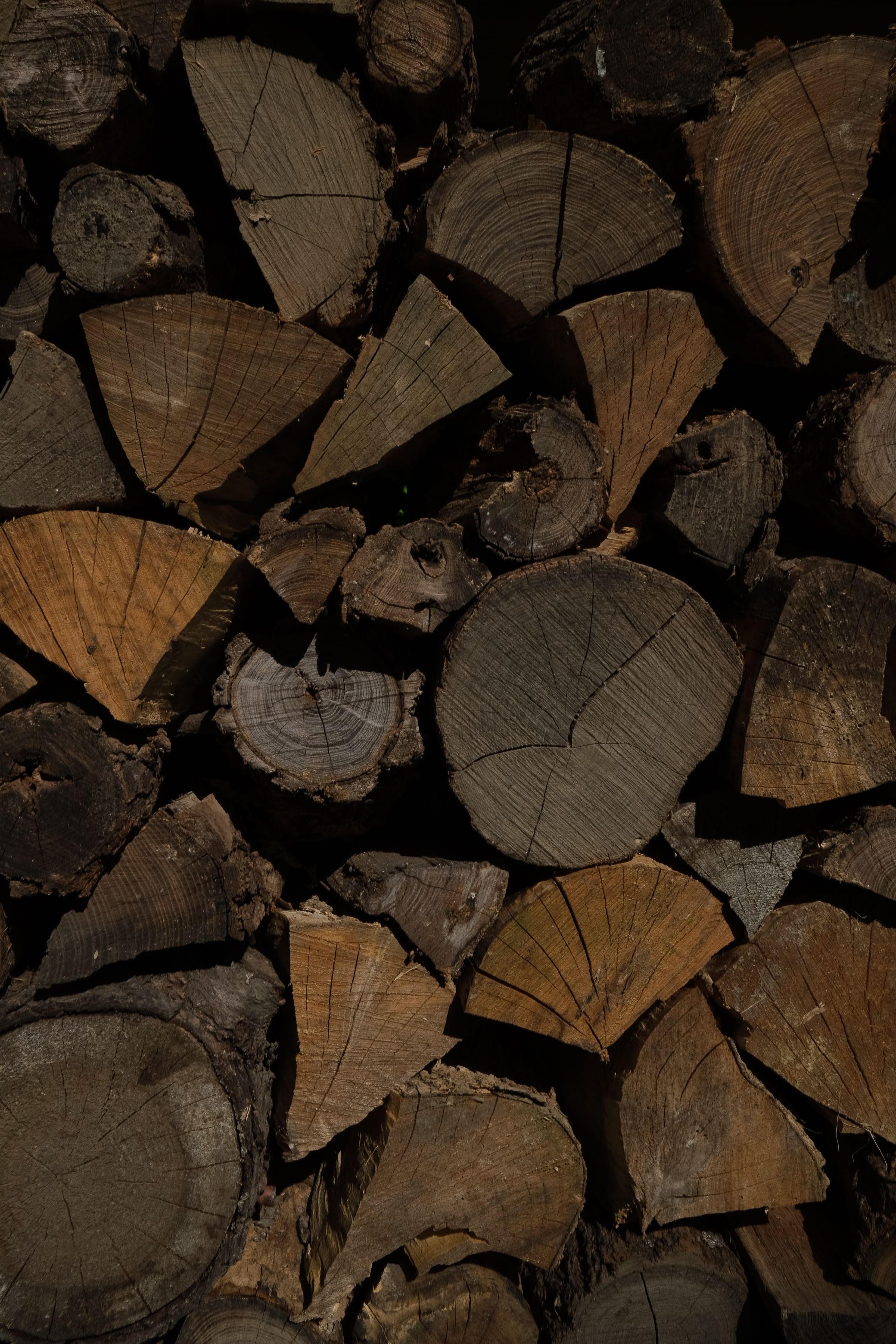 A harvester working between rows of conifers while cut timber is stacked ready for extraction