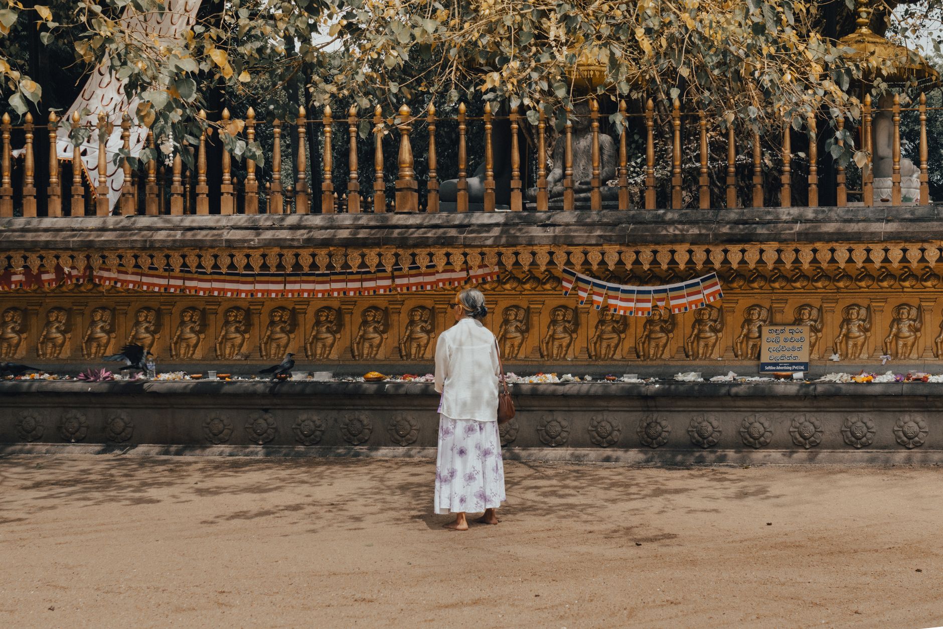 Ayurveda in Sri Lanka: Hidden Gems Beyond the Tourist Trail
