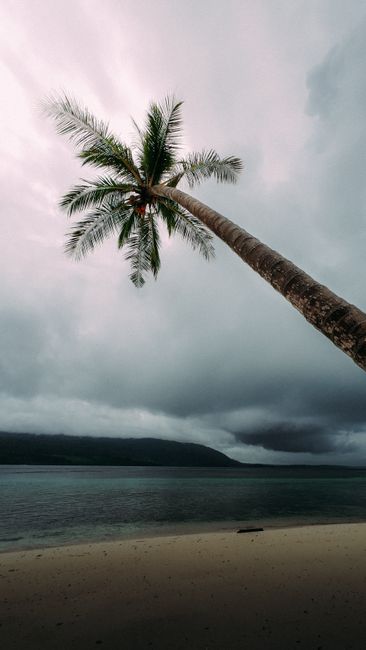 Photo by Nur Andi Ravsanjani Gusma A lone palm tree leans over a deserted beach under dramatic, stormy skies.