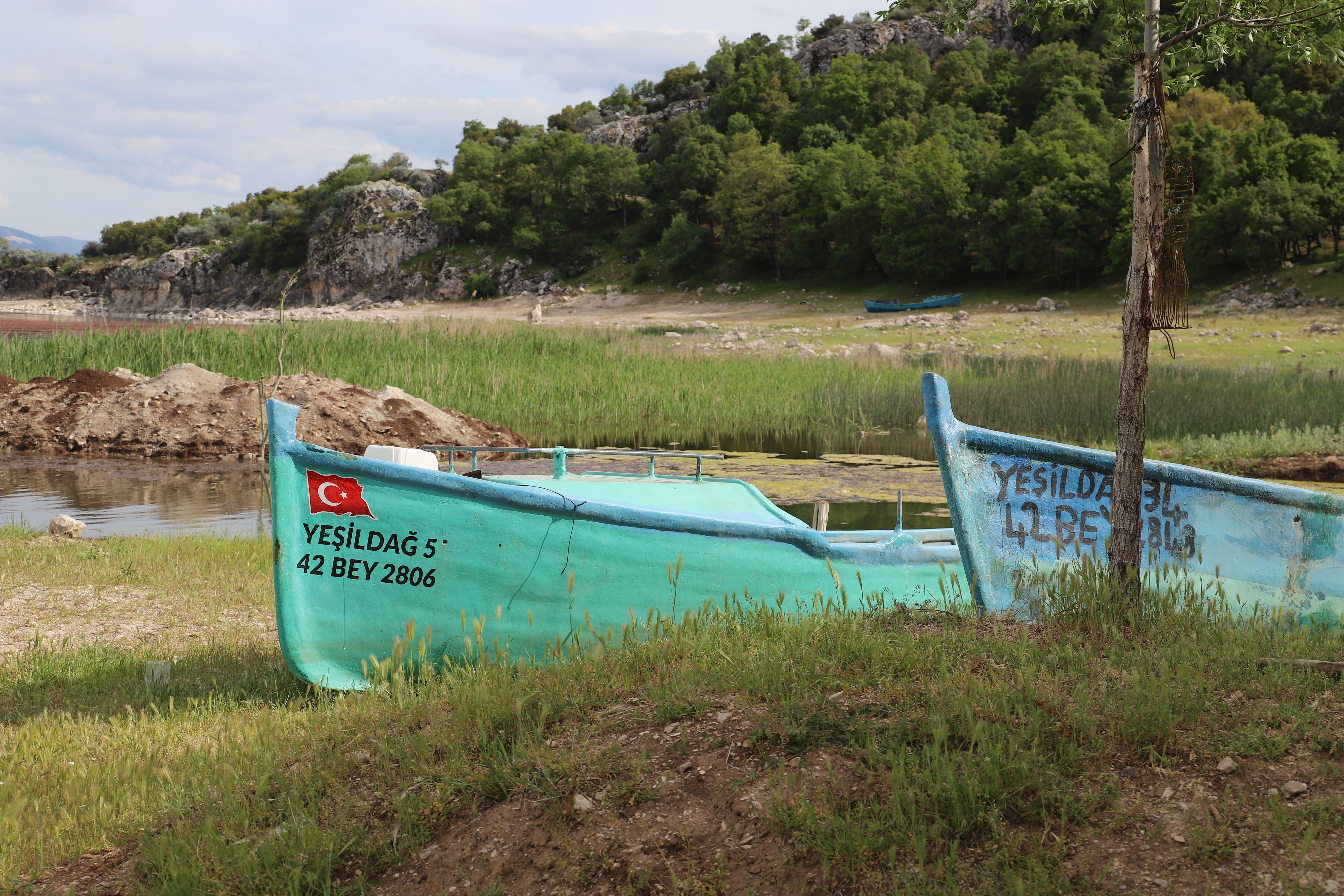 Green boats with Turkish flag by a tranquil lake shore in a lush, summer landscape.