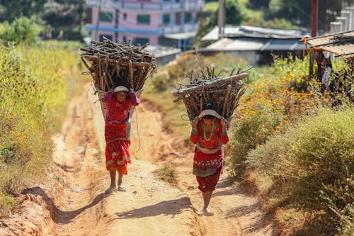 Woman in Red Dresses Carrying Firewood