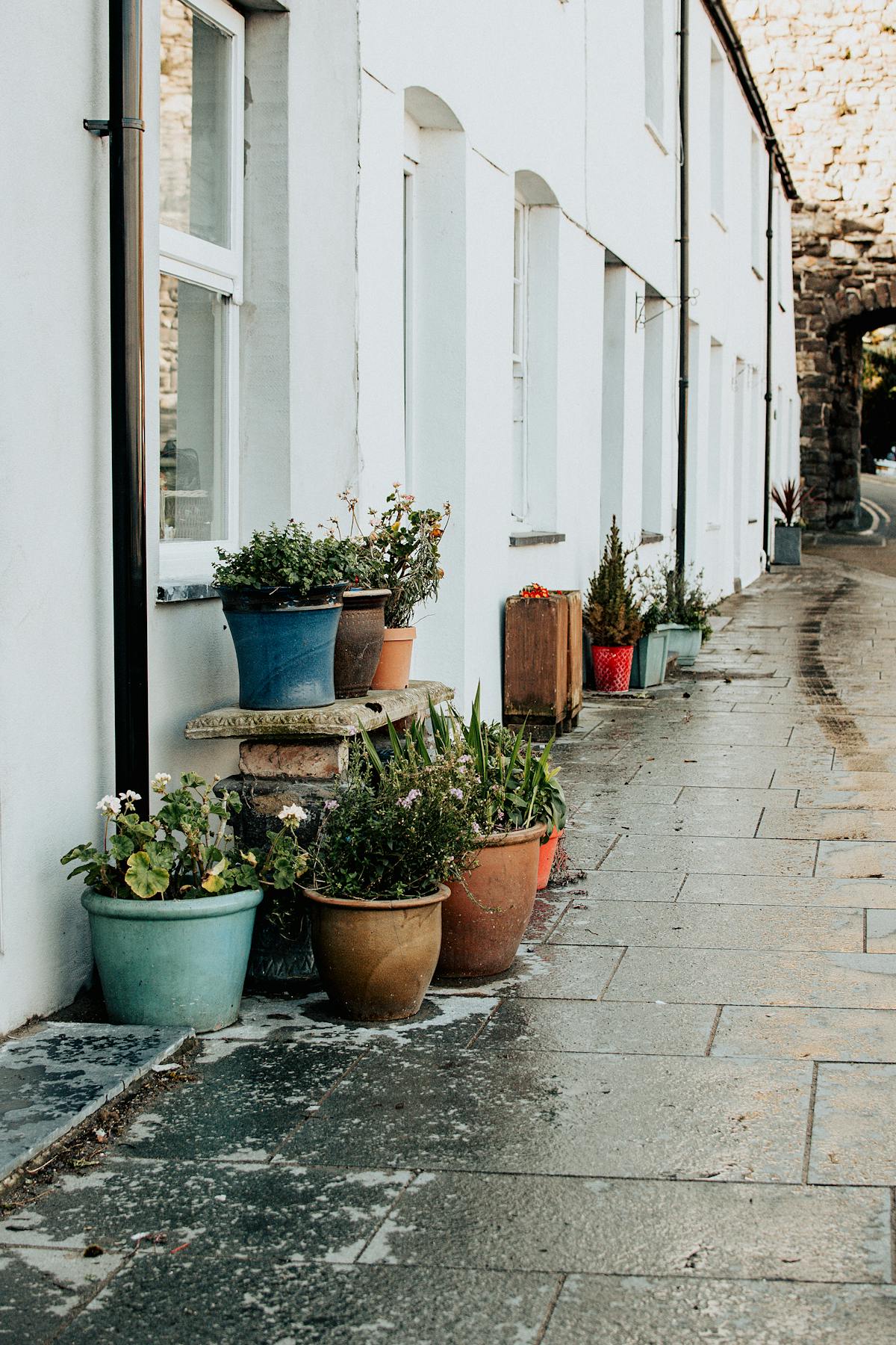 Vasi con piante verdi disposti su pavimento in cemento grigio