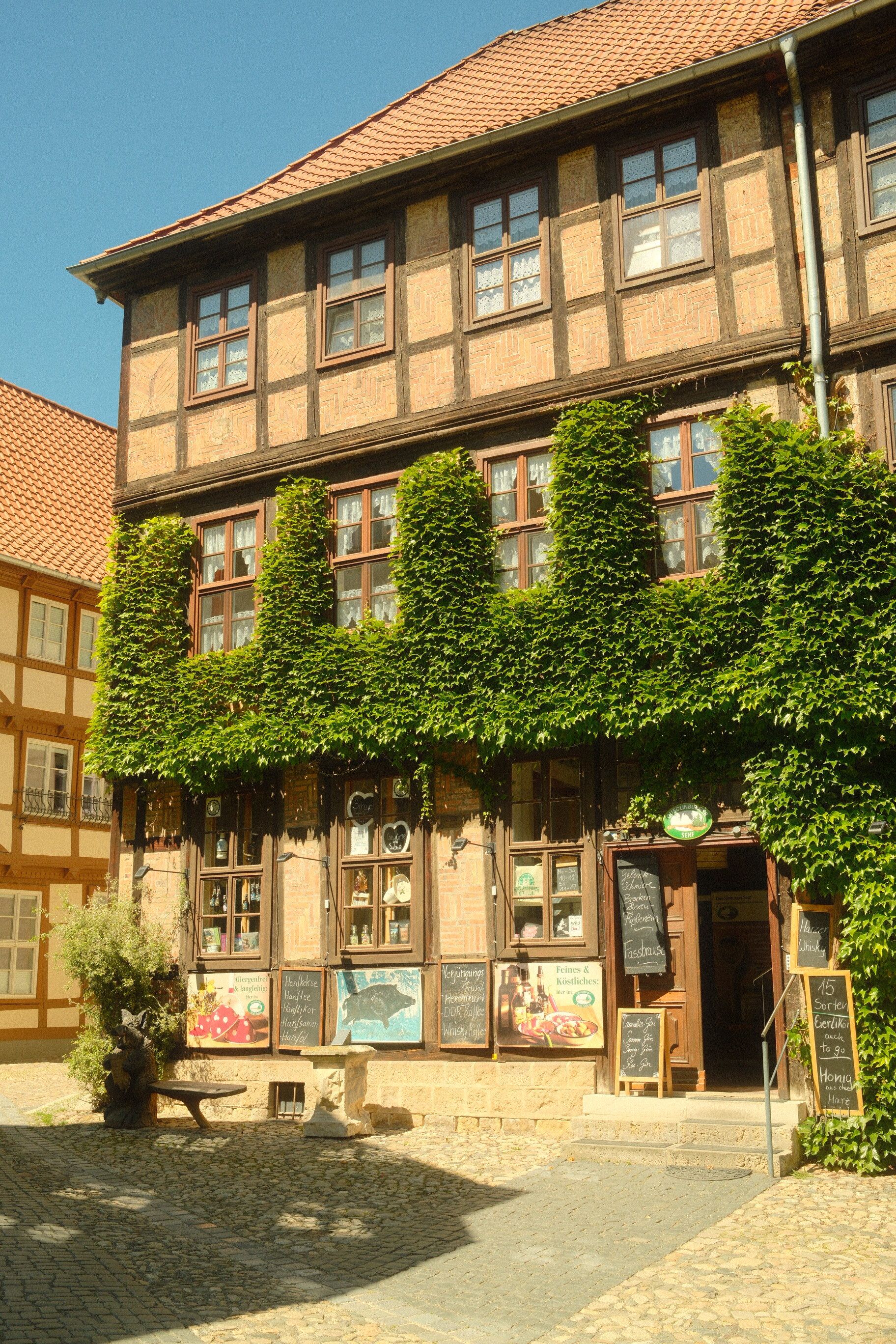 Picturesque half-timbered house with ivy in Quedlinburg, Germany, captured in summer.