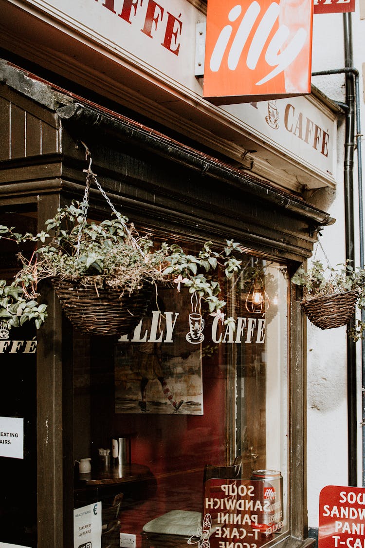 Hanging Plants In Front Of Café