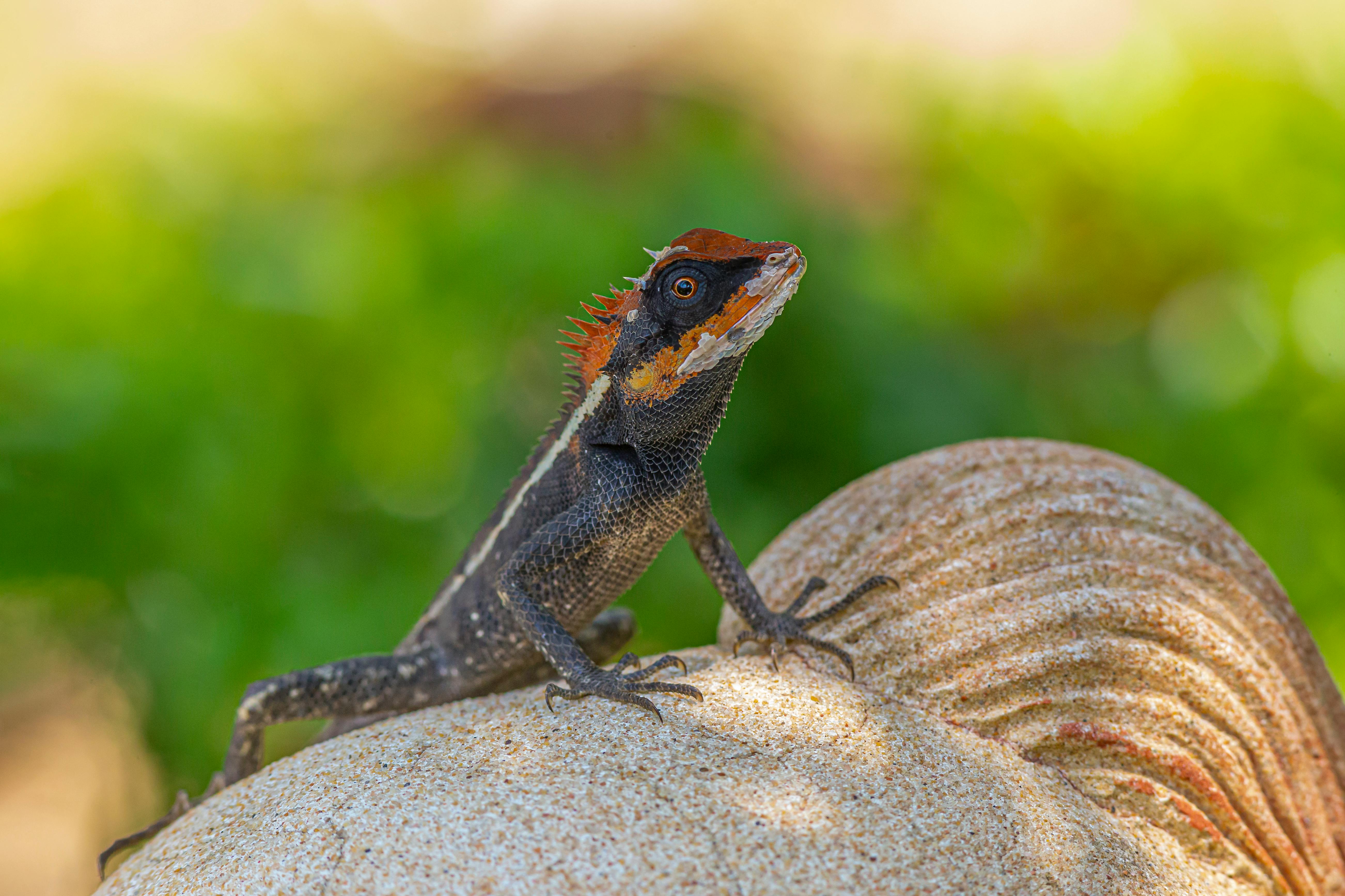 Meditation and relaxation