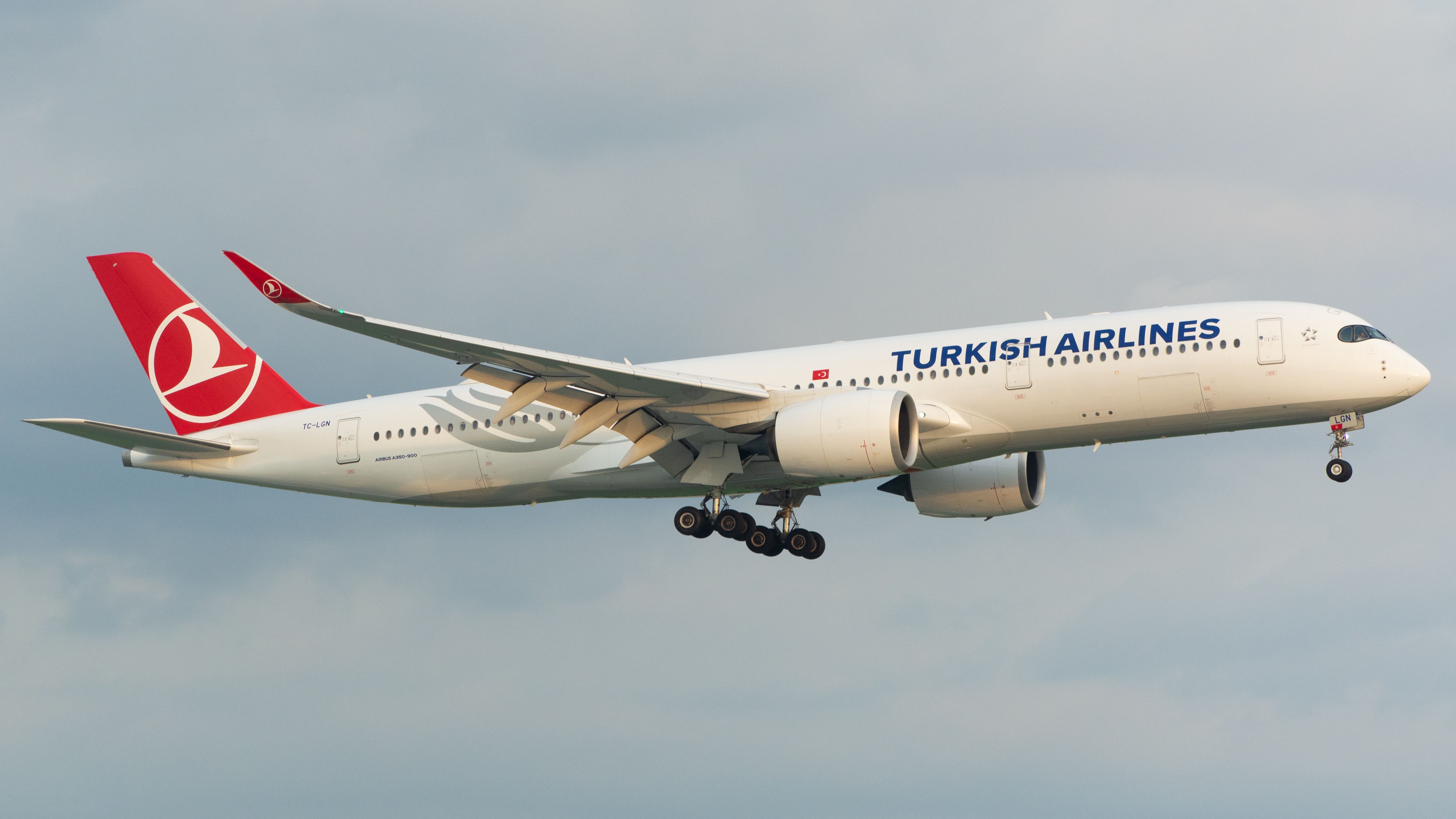 Experts warn hoarding airline miles could cost travelers — Photo by Go Journal on Pexels