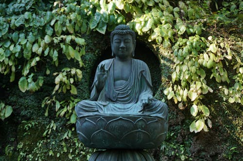 Foto stok gratis buddha, candi Budha, Jepang