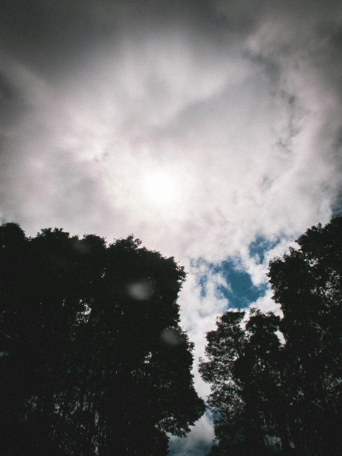 Physical therapist guiding a young woman through rehabilitation exercises
