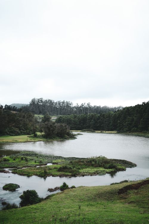 Free Beautiful landscape of Ooty Lake surrounded by lush greenery and tranquil waters. Stock Photo