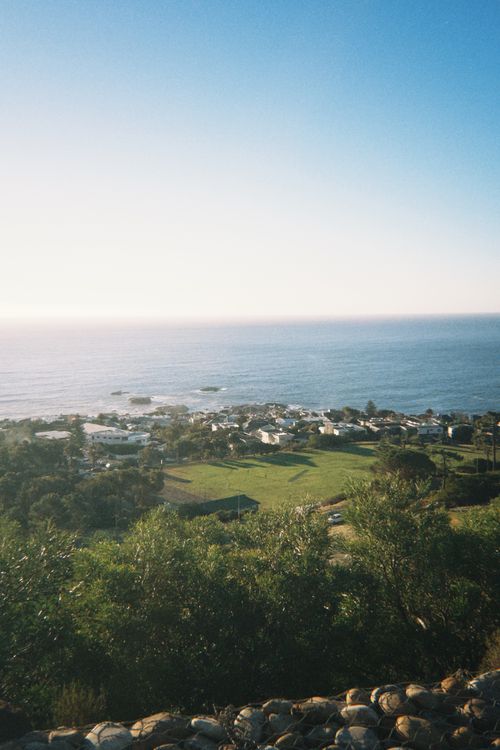 Free Stunning view of the Atlantic Ocean from Cape Town hillside with lush greenery and clear blue sky. Stock Photo