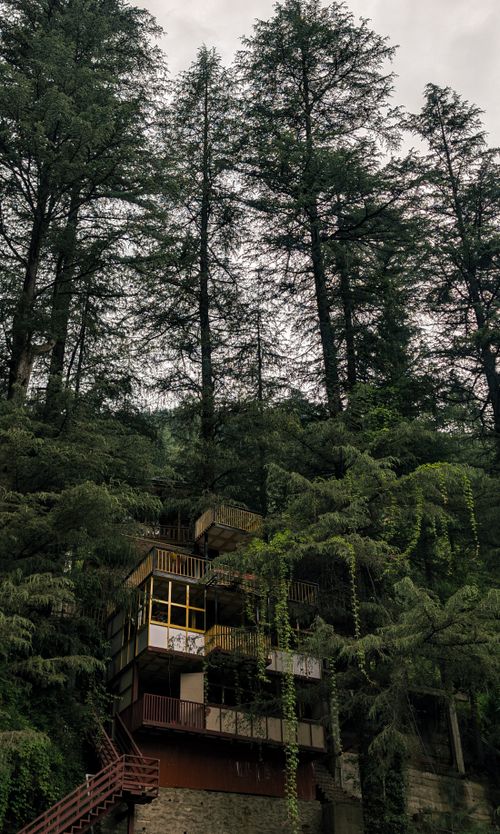 Free Scenic view of a mountain retreat surrounded by towering pine trees in HP, India. Stock Photo
