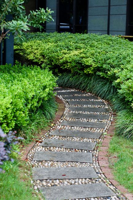 Photo by Anderson Wei on Pexels A tranquil garden pathway bordered by lush green hedges and shrubs.