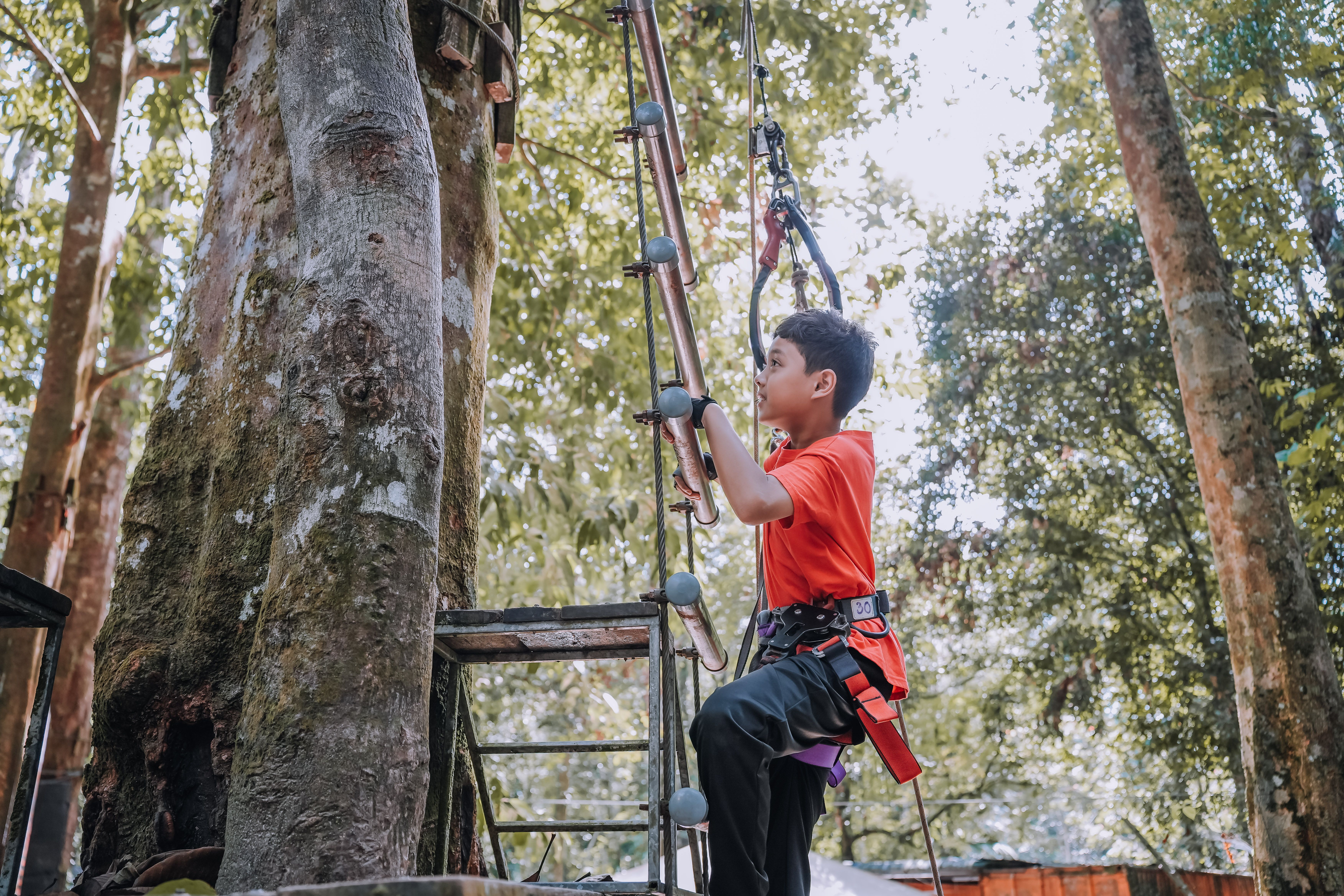 The Kids Outdoor Adventure Expo at Great Parks - FOX19 — Photo by Abdulaziz hasan on Pexels