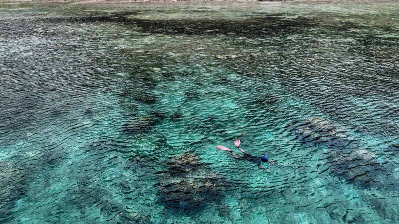 Reef & Boat Trips