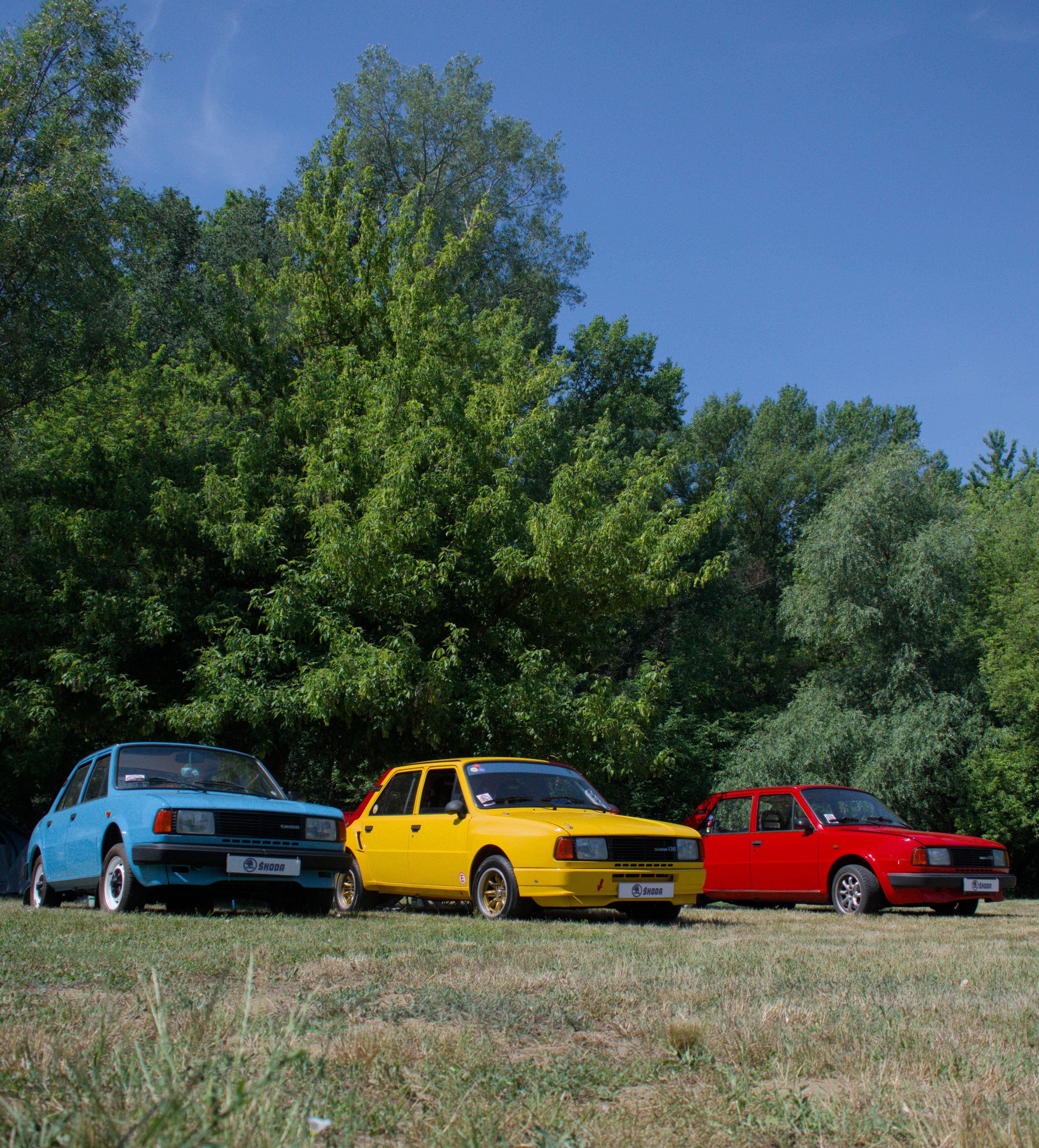 Three vintage cars in blue, yellow, and red parked against lush green trees under a clear blue sky.