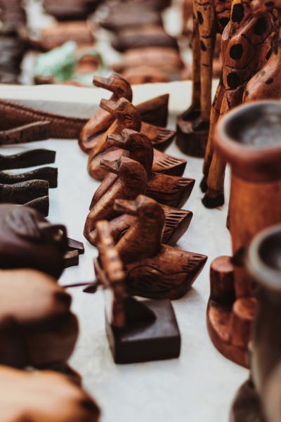 Dodo-motif crafts