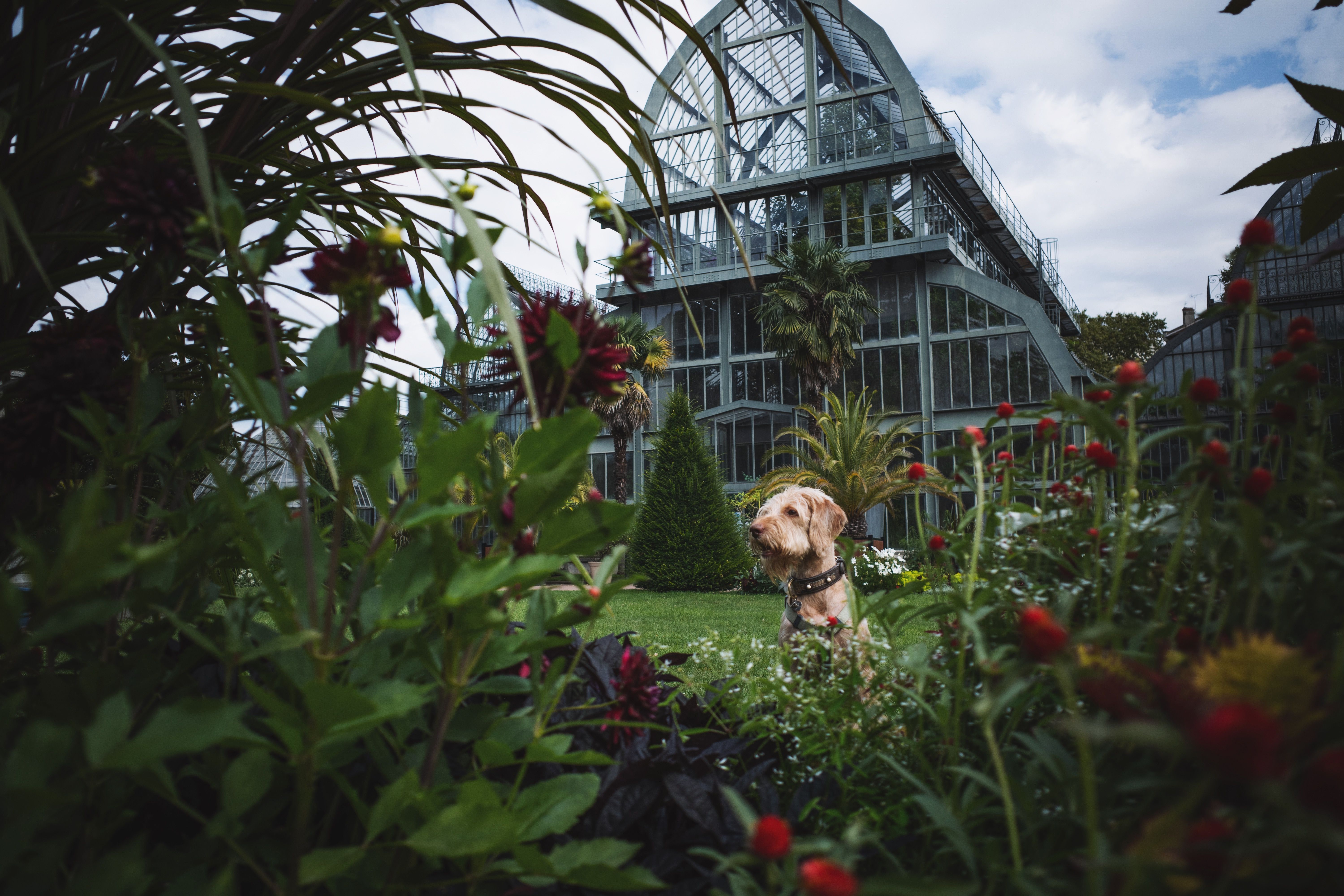 See the glasshouses in Cantonspark