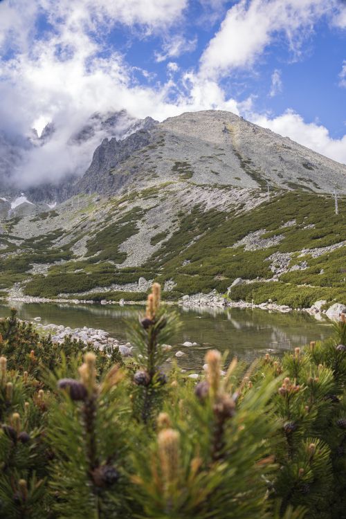 Free Breathtaking view of alpine mountains and pine trees under a blue sky with clouds. Stock Photo