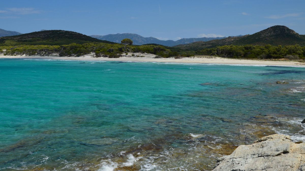 Plage de Saleccia's Caribbean-toned water — widely considered the finest beach in France, reachable only by boat, bike, or foot.