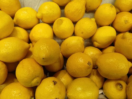 Free A vibrant collection of fresh lemons showcasing their bright yellow color. Stock Photo