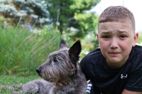Free A boy and his Cairn Terrier enjoying a spring day outdoors in Burnsville, Minnesota, USA. Stock Photo