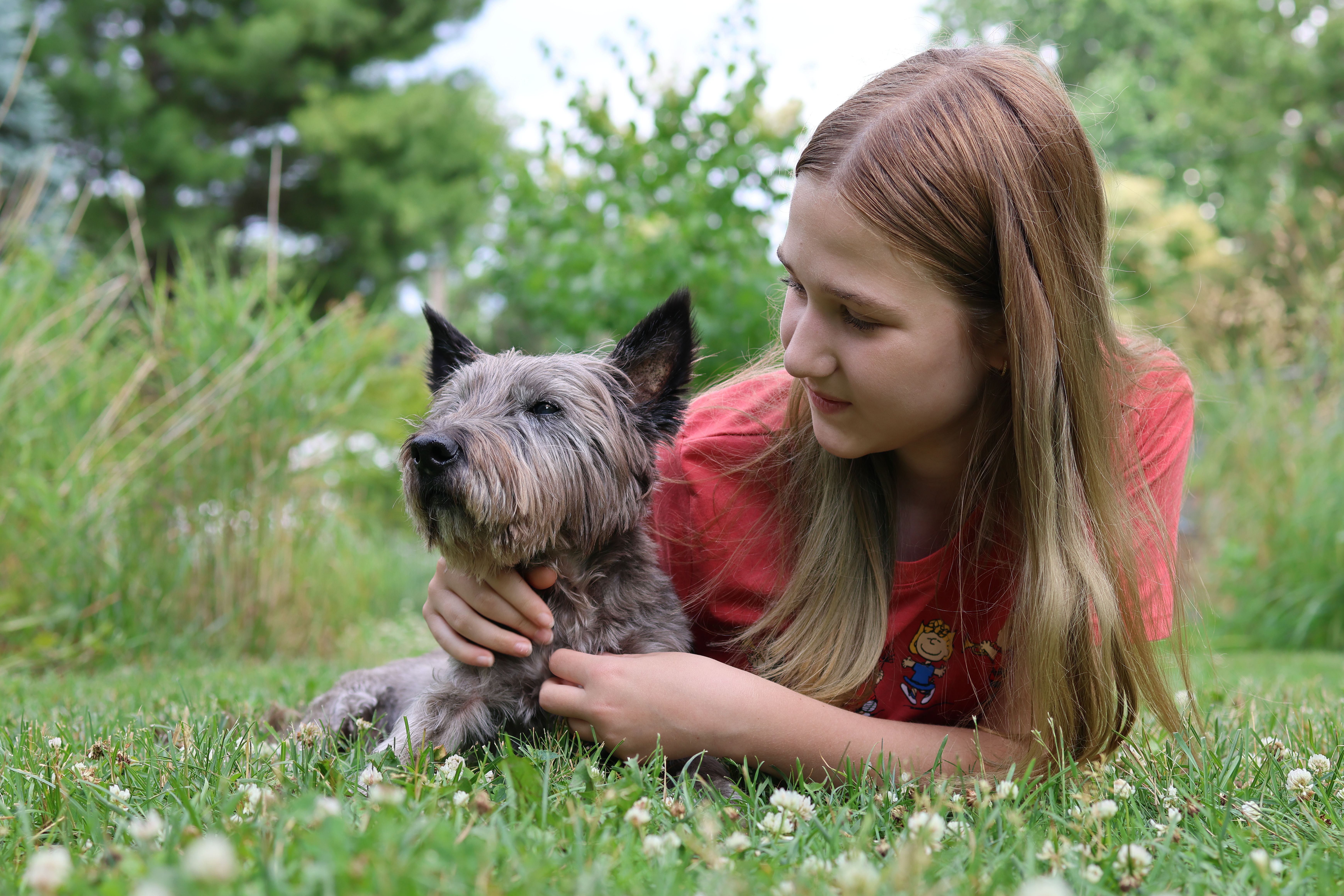 pet care, pet health, pet safety, pet grooming — Photo by Jordan Heinz on Pexels