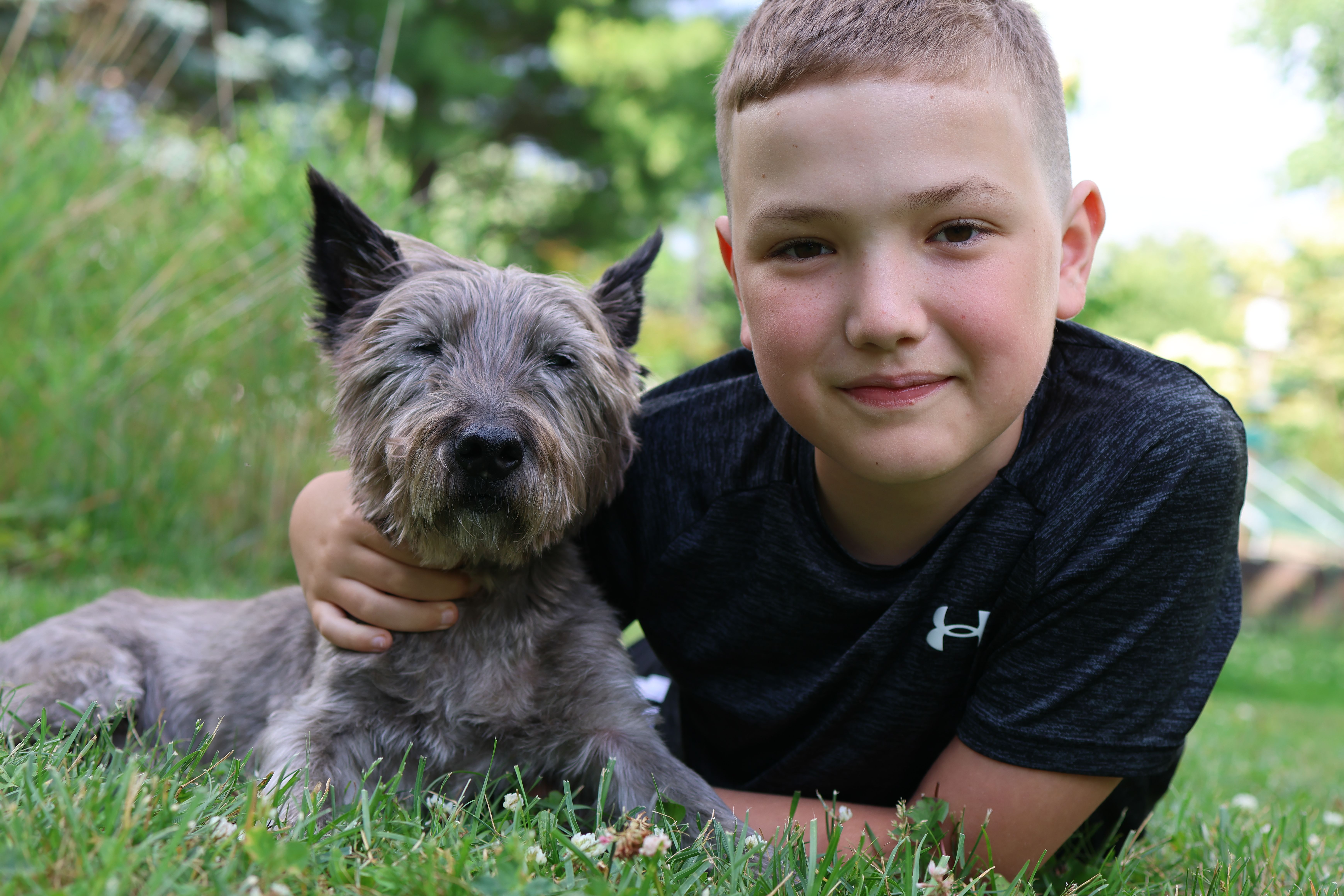 pet insurance pet health coverage — Photo by Jordan Heinz on Pexels