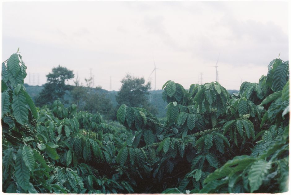 Cooperativa Tierra Alta