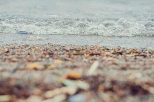 Free stock photo of beach, nature, summer