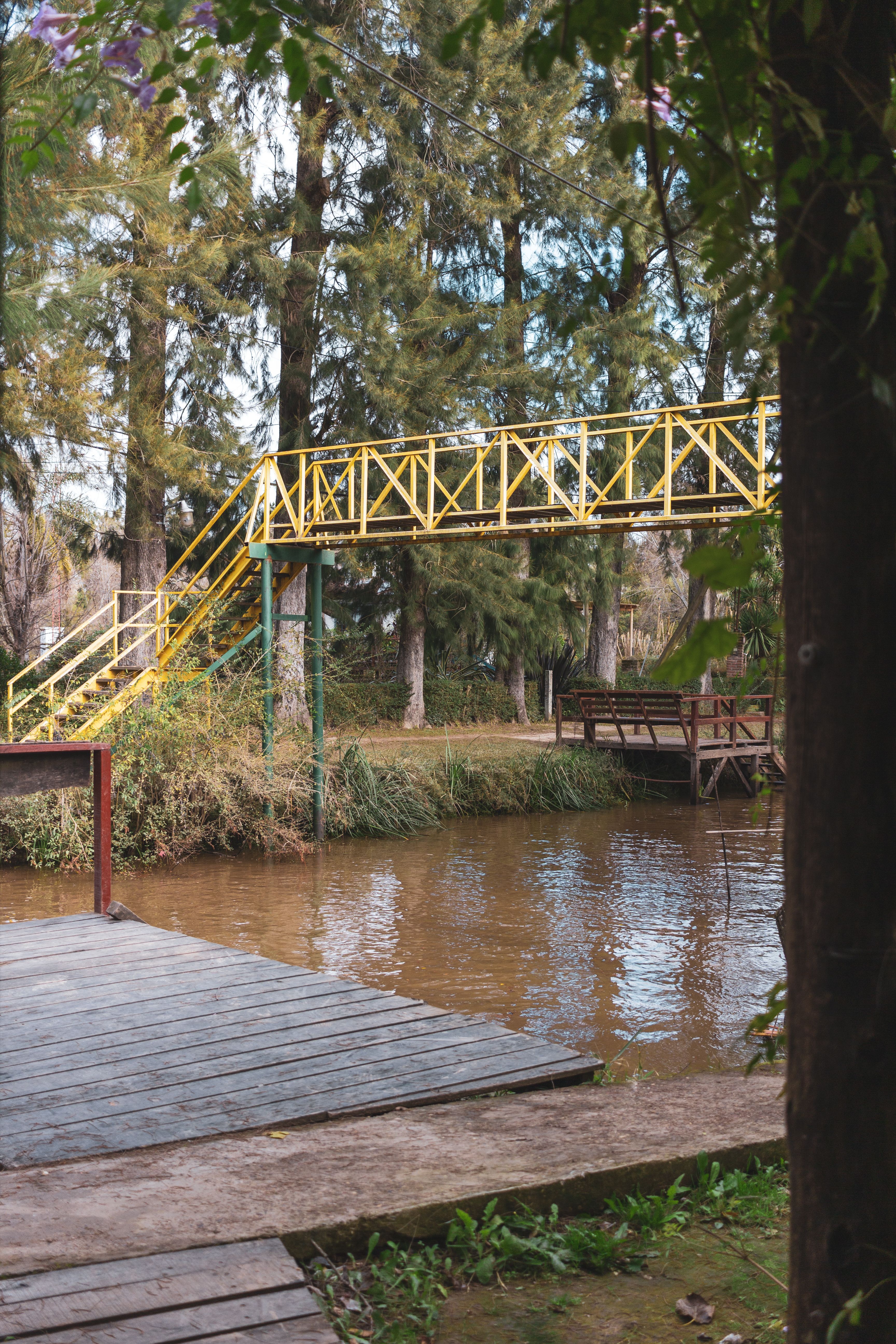 Fotomural Una serena escena forestal con un vibrante puente amarillo sobre un arroyo tranquilo, perfecta para los amantes de la naturaleza.