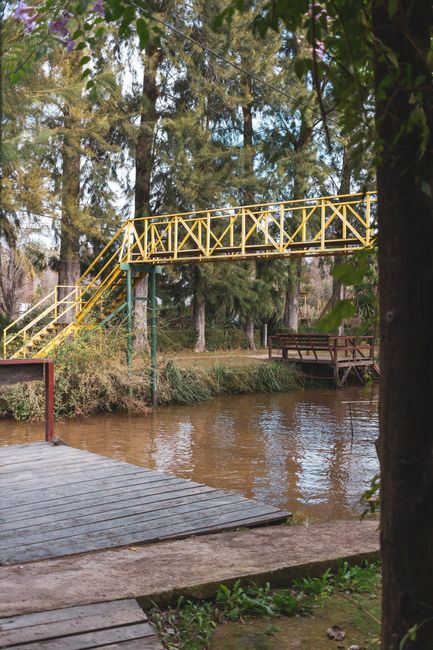Fotomural Una serena escena forestal con un vibrante puente amarillo sobre un arroyo tranquilo, perfecta para los amantes de la naturaleza.