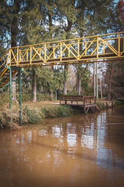 Fotomural Un pintoresco puente amarillo cruza un arroyo tranquilo en medio de un bosque, ofreciendo una escapada apacible.