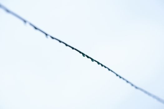 A minimalist view of raindrops delicately hanging from a wire with a bright sky backdrop.