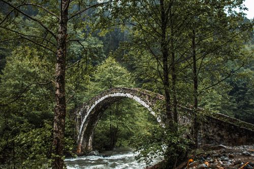 Free Ancient stone arch bridge amidst dense foliage in Rize, Turkey, showcasing natural serenity. Stock Photo
