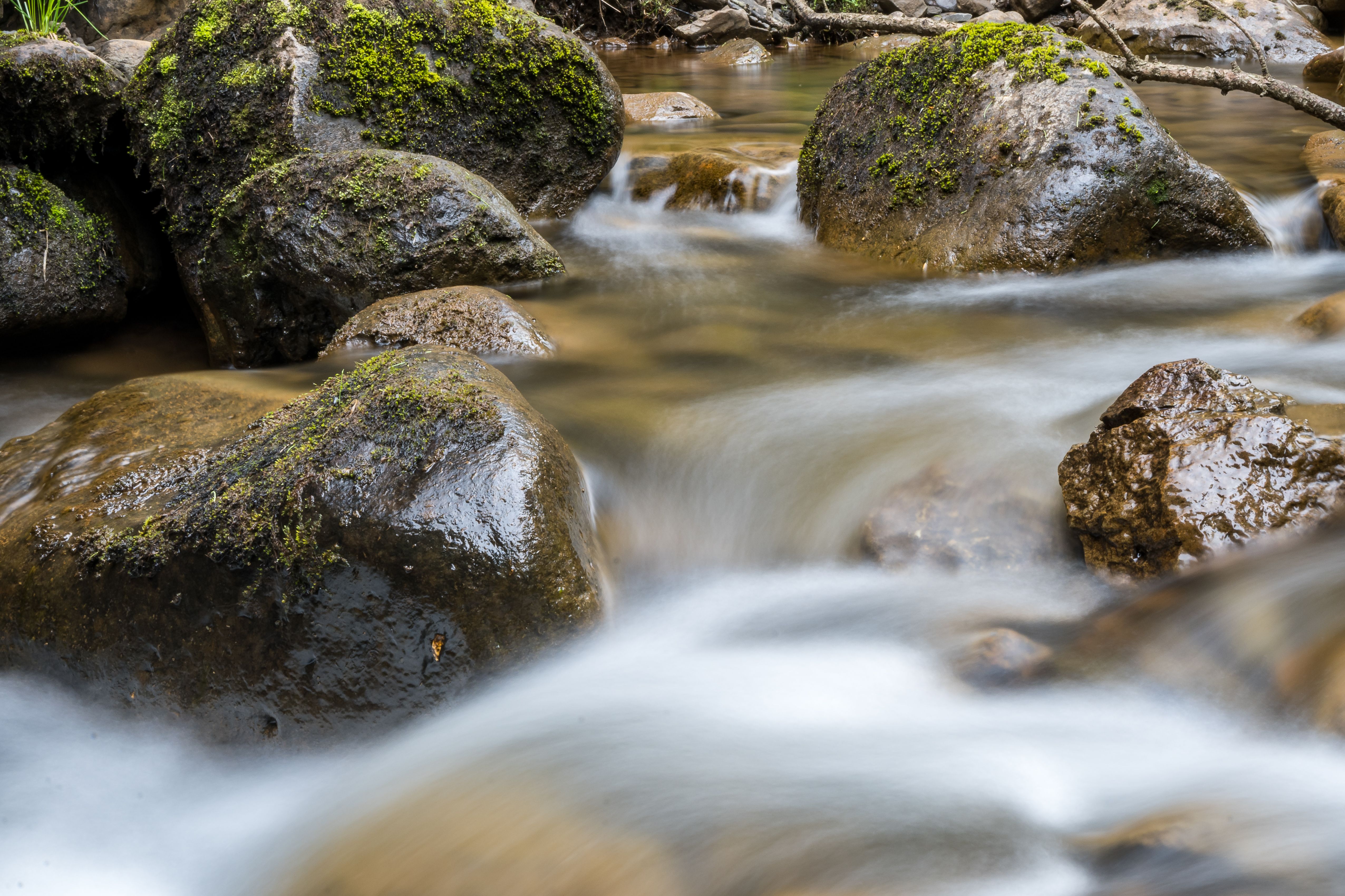 tranquil stream flowing over moss-covered rocks