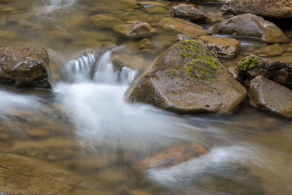Gentle Hill Country creek flowing over moss-covered limestone